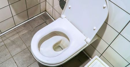 Najgorszy papier toaletowy wg proktologa. Nawet nie zabieraj do WC