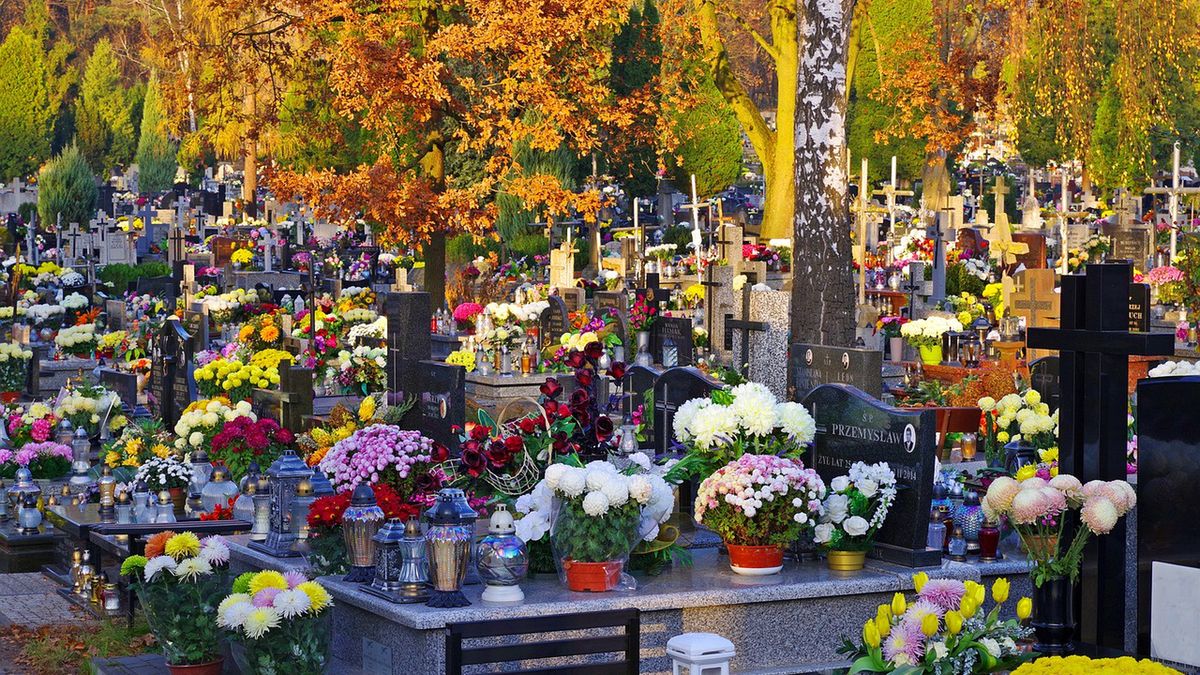 Na cmentarzu trzeba przestrzegać regulaminu.