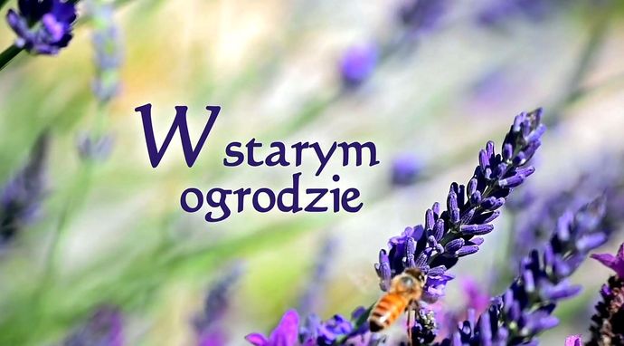 W starym ogrodzie