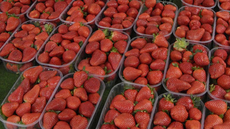 Leki, które nie idą w parze z truskawkami. Mogą wywoływać nieprzyjemne reakcje