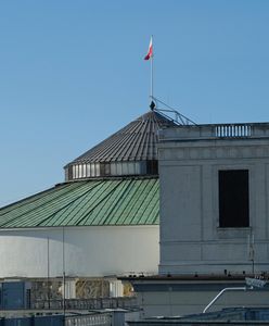 Podejrzane znalezisko przy ogrodzeniu Senatu. Policja na miejscu. "To zabawka"