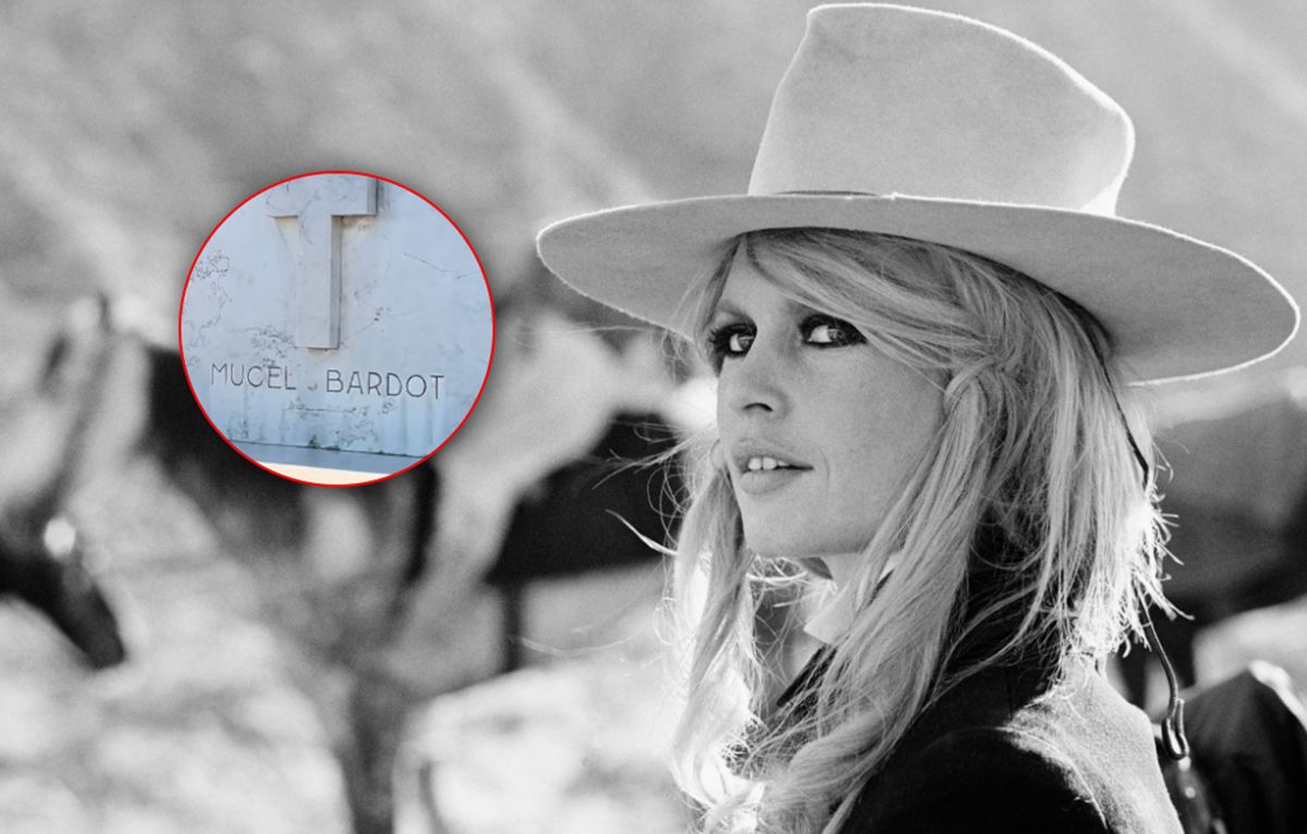 Pokazali cmentarz Bardot. Tu zostanie pochowana