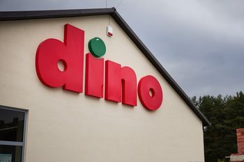 Znicz za mniej niż 10 zł. Promocja na Wszystkich Świętych w Dino; 3+3 gratis