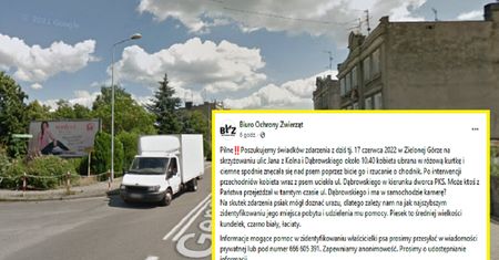 Rzucała psem o chodnik. Internauci znaleźli ją w godzinę
