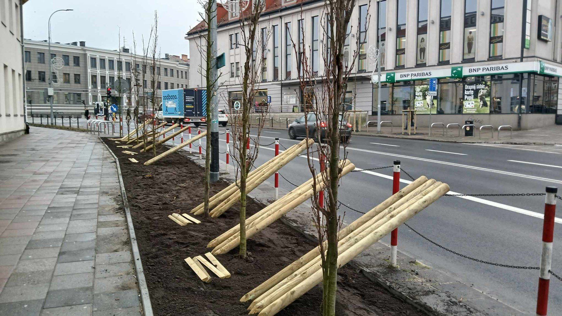 Nowe nasadzenia zieleni wzdłuż ulicy Sienkiewicza