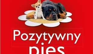 Pozytywny pies. opowieść o sile pozytywności