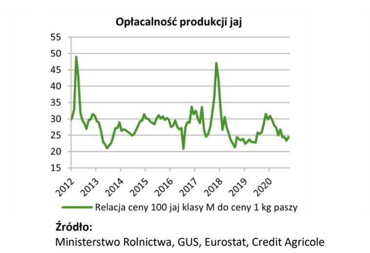 Opłacalność produkcji jaj