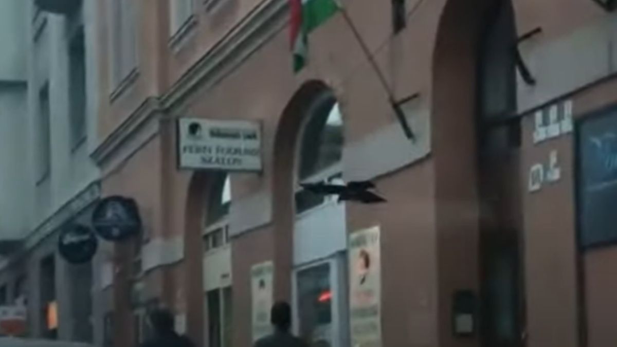 Ptaki atakują przechodniów na ulicach węgierskich miast. Nie tylko Węgrzy mają ten problem