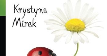 Koszmarny start