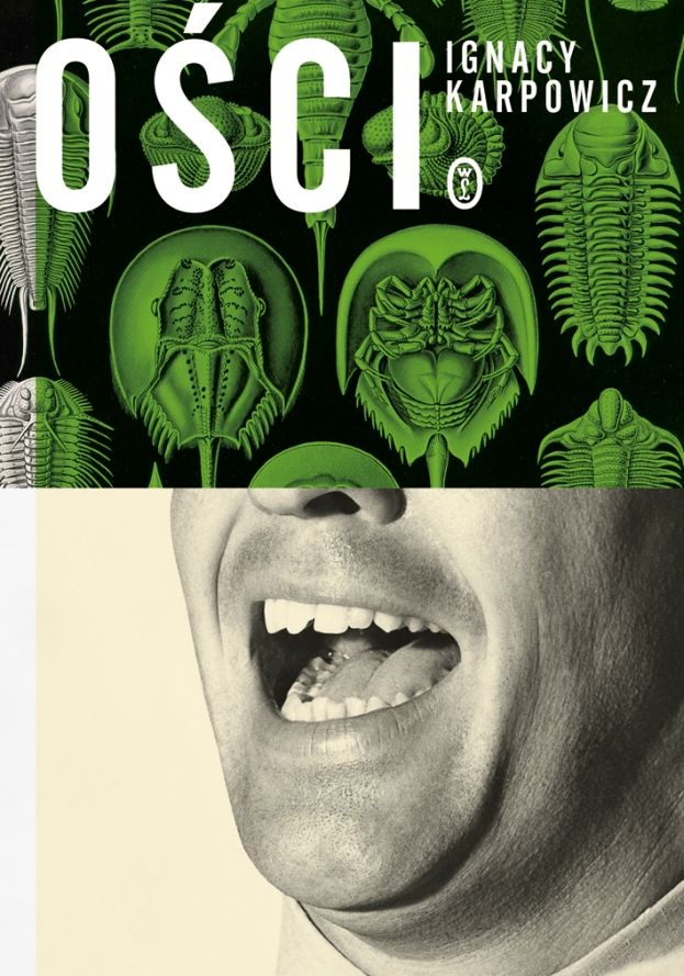Obraz