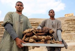 Niesamowite odkrycie w Egipcie. Archeolodzy znaleźli mumie zwierząt