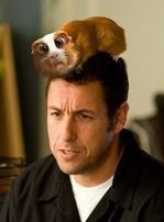 Adam Sandler jako mężczyzna i kobieta