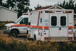 Dramat podczas zabawy w chowanego. Nie żyje 5-latka. Ugryzł ją wąż