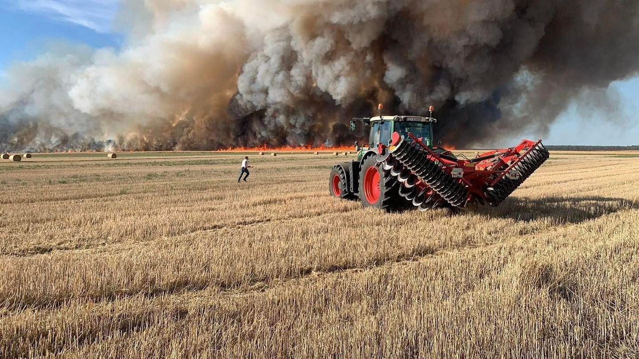 Pożar zboża w okolicach Zbąszynia udało się opanować. Fot: