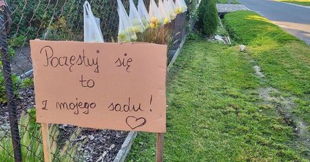 Sołtys rozdaje owoce. Mieszkańcy zachwyceni