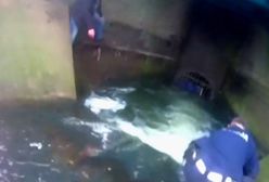 Kobieta wpadła do kanału. Moment dramatycznej akcji ratunkowej