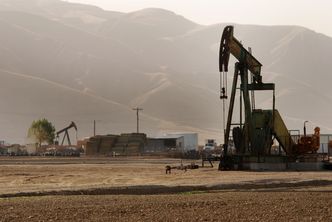 Inwestorzy liczą na wzrost cen ropy naftowej. Tymczasem Arabia Saudyjska inwestuje w źródła odnawialne