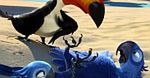 "Rio 2" przed mistrzostwami w Brazylii