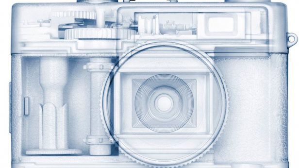 Wbrew pozorom to nie są zdjęcia rentgenowskie 1