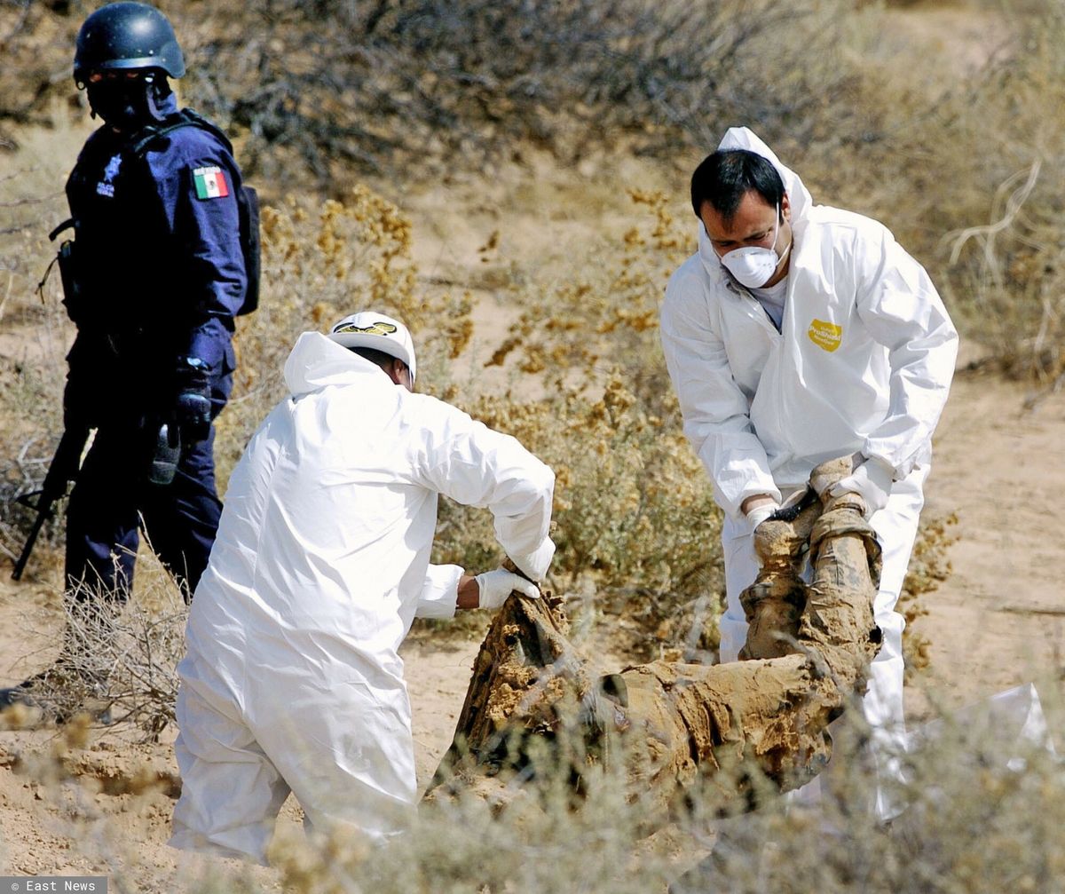 Na zdjęciu: służby wydobywają zwłoki skute kajdankami i zakopane na pustyni w pobliżu Ciudad Juarez w 2009 r. 