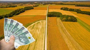 Wypłaty z ARiMR 2025 – pieniądze już na kontach rolników