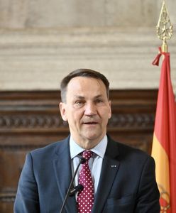 Sienkiewicz i Sikorski komentują sprawę wycieku rozmów. Padły mocne słowa