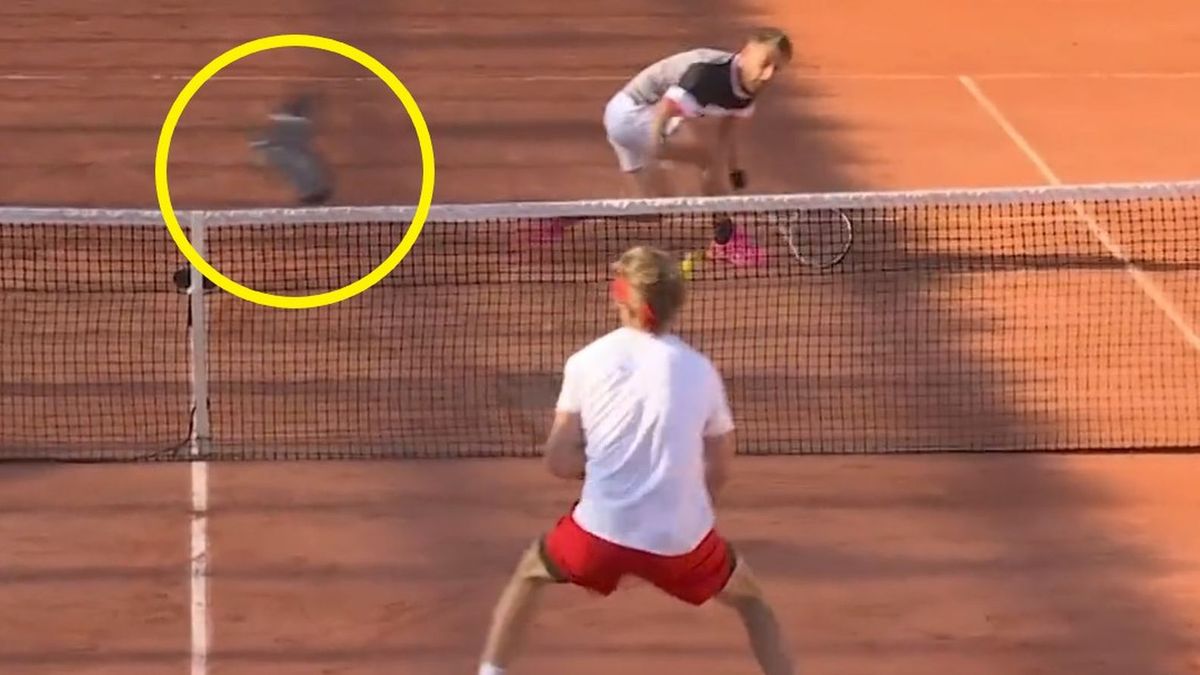 Gołąb przeszkodził tenisistom w rozegraniu akcji