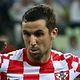 Darijo Srna