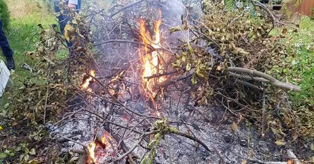 Palisz gałęzie i liście? To zabronione. Grożą surowe mandaty