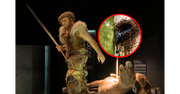Naukowcy zbadali medycynę neandertalczyków. Znali antyseptykę