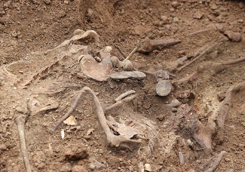 Prawie 1400 ciał. Masowy grób z czasów II wojny światowej odkryty w Rosji