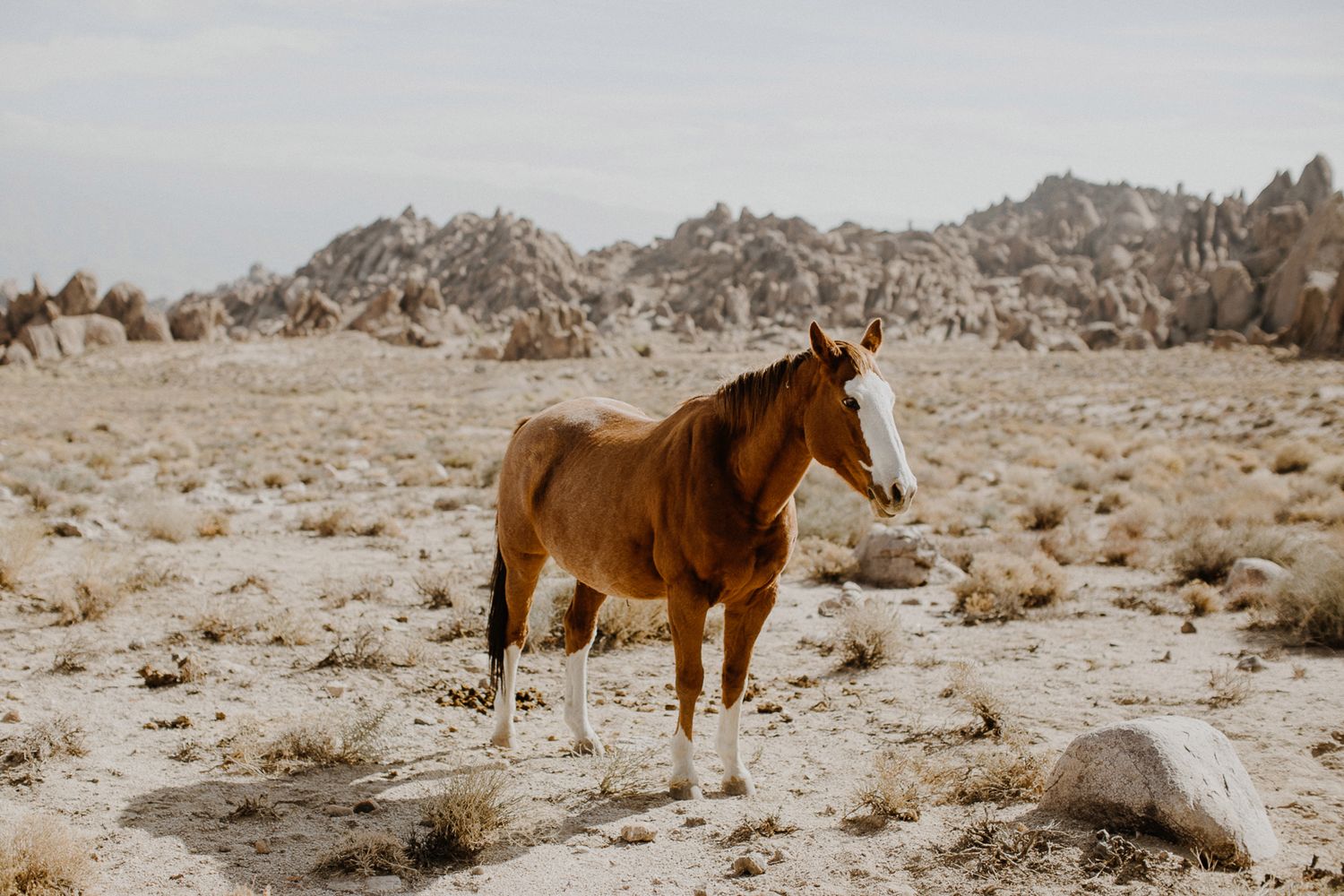 Rozmawialiśmy z Justyną Zduńczyk, laureatką Sony World Photography Awards 2018 16
