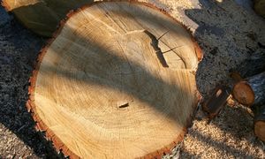 Wsyp do pnia. Usuniesz go bez koparki