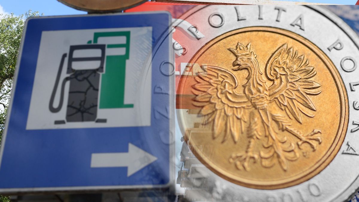 Od piątku znów działa program "CPN"
