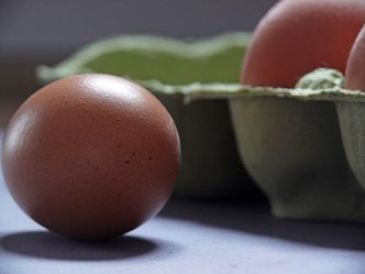 Niemcy i Holandia blokują publikację informacji o skażeniu jaj fipronilem. Tłumaczą to dbałością o dobro śledztwa