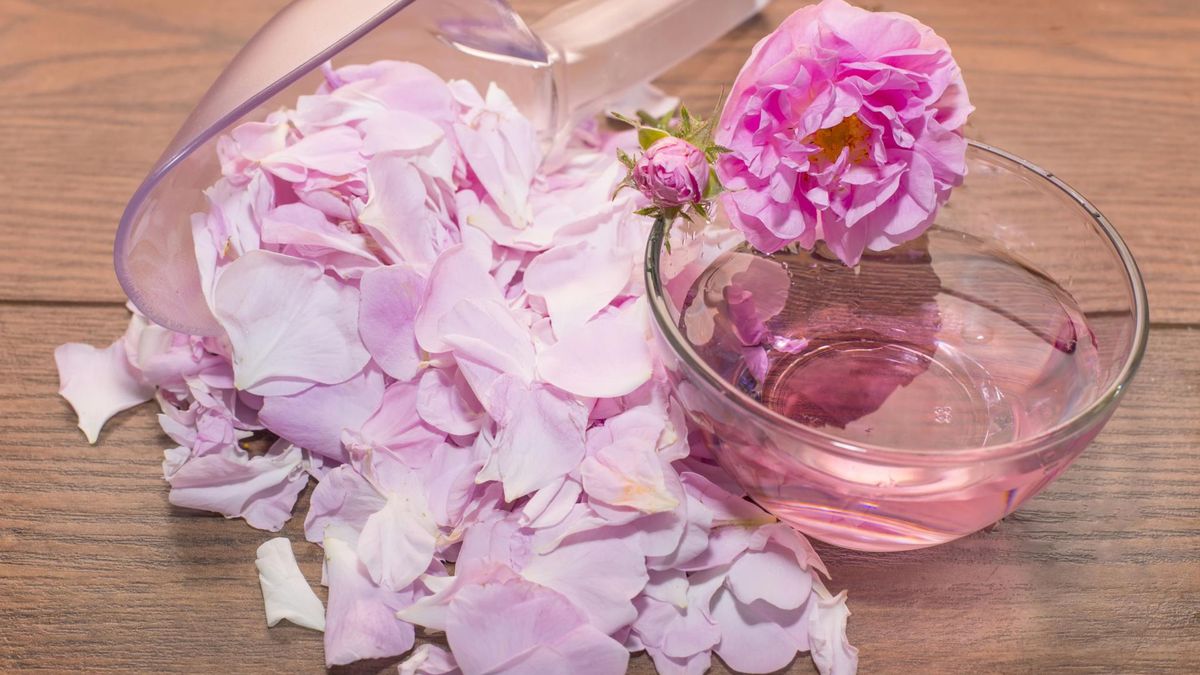 Zdjęcie przedstawia wodę różaną w misce i płatki róż