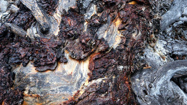 10 dziwnych substancji, które znajdują się w kosmetykach 1