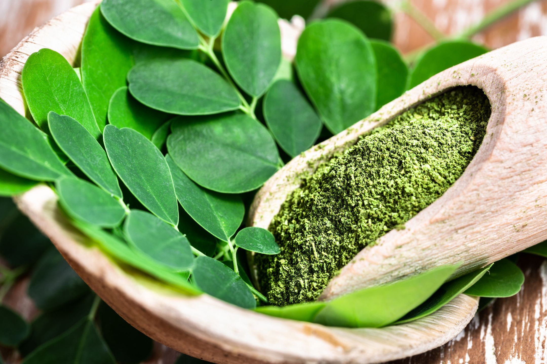 Moringa