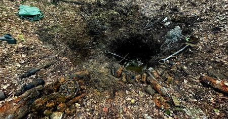 Poszedł na spacer. I nagle taki widok. Natychmiast wezwał służby