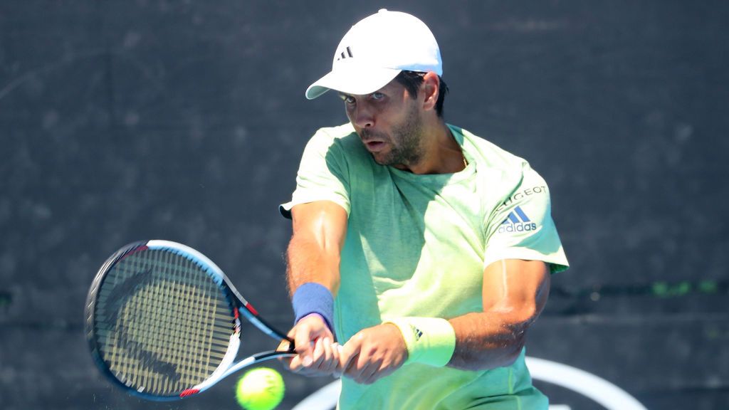 Fernando Verdasco