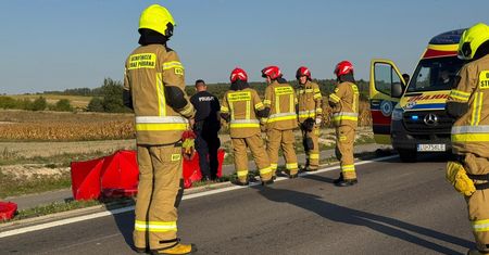 Łosie wybiegły na drogi. Mężczyzna nie żyje
