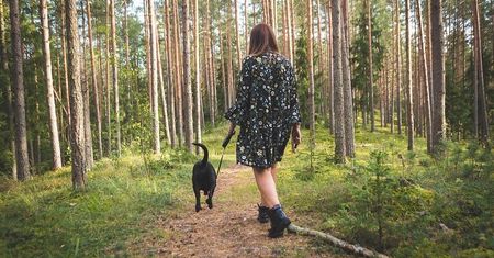 Od dziś częściowe zniesienie ograniczeń. Otwarcie lasów, więcej osób w sklepach