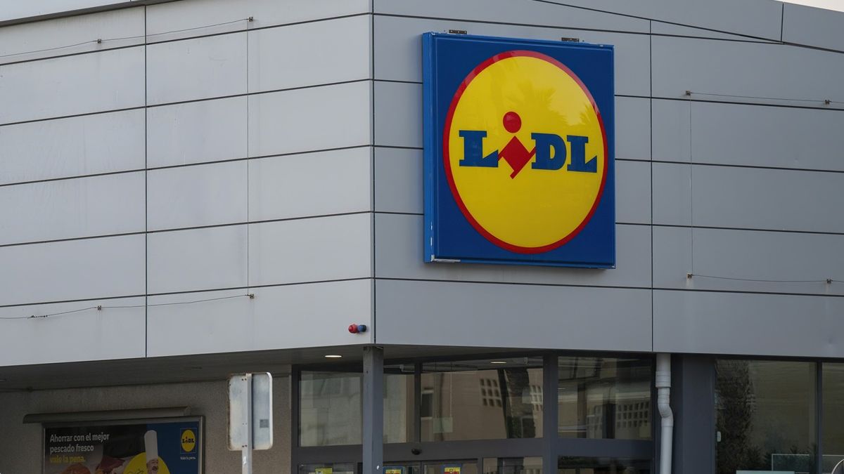 Promocje w Lidlu od soboty.