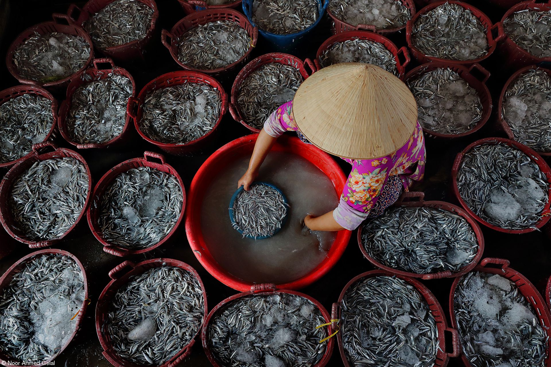 Najsmaczniejsze zdjęcia kulinarne 2019 roku. Zobacz, wyniki konkursu 26