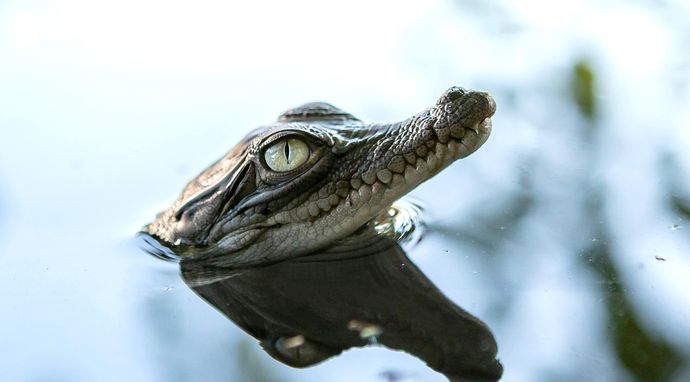 Kimberley: Dziki Zachód Australii