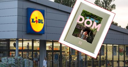 Lidl rozdaje książki w zamian za zakupy