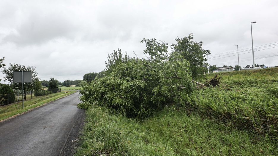 Usuwanie skutków nawałnicy w Głuchowie koło Łańcuta