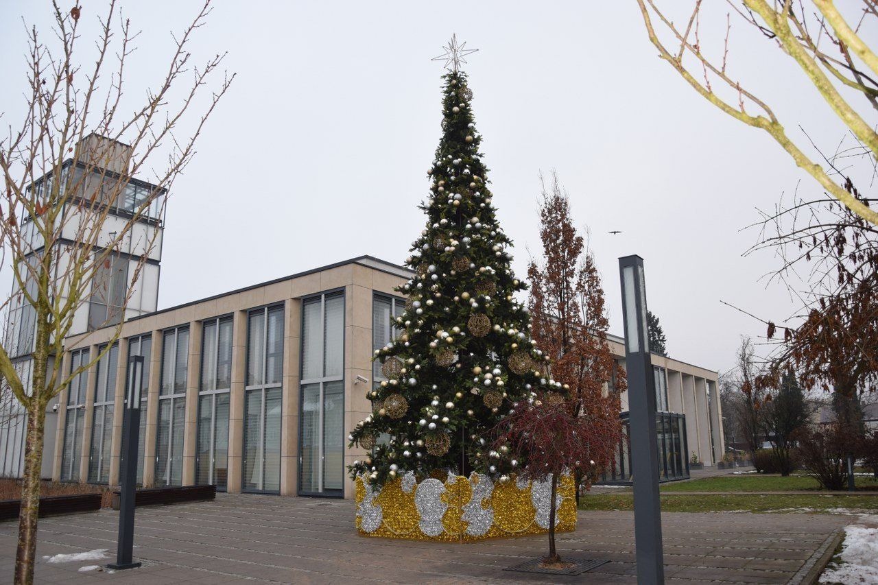 Zduńskowolski Jarmark Bożonarodzeniowy już w ten weekend. Będzie lodowisko, stoiska, piękna choinka i wiele innych atrakcji