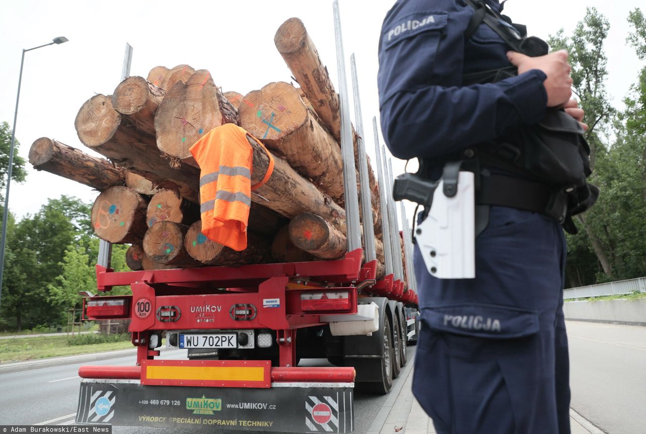 Zmiany w spalaniu drewna. Branża: będzie tak, jak jest