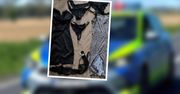 Zniknęła jej bielizna z balkonu. Odkrycie w mieszkaniu 33-latka